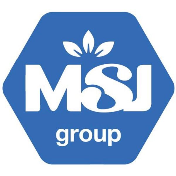 MSJ Group