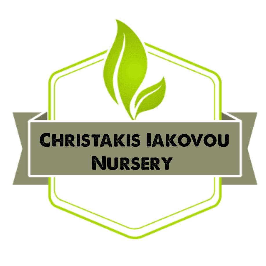 Christakis Iakovou Nursery